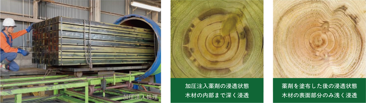 加圧注入処理の様子。加圧注入薬剤は木材の内部まで深く浸透し、塗布した薬剤は表面部分のみ浅く浸透