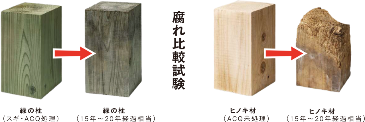 腐れ比較試験：緑の柱（スギ・ACQ処理）は15年〜20年経過相当でも腐らない。ヒノキ材（ACQ未処理）は腐朽している